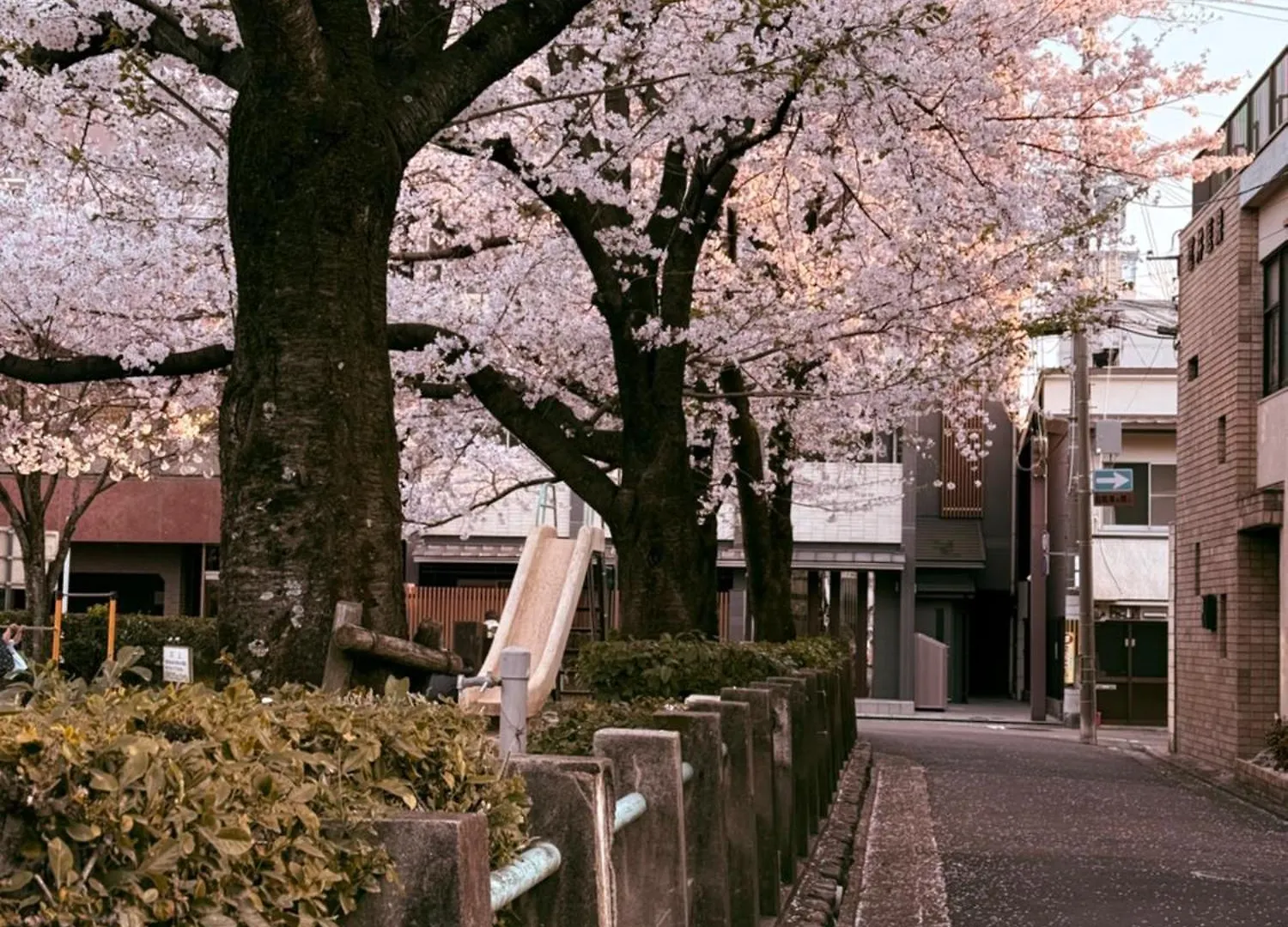Pansiyon 初音 Daire Kyoto